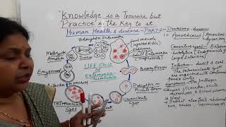 Human  Health and disease | Amoebiasis| Class 12|