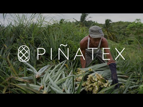 Dole and Ananas Anam - Piñatex (case study)