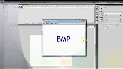 Adobe flash tutorial - handwriting