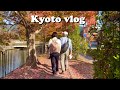【シニアライフ】60代夫婦のアクティブに巡る京都旅行