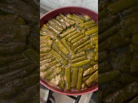اجمل صوت بق بق 