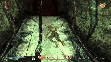 Oblivion walkthrough - Bruma Gate