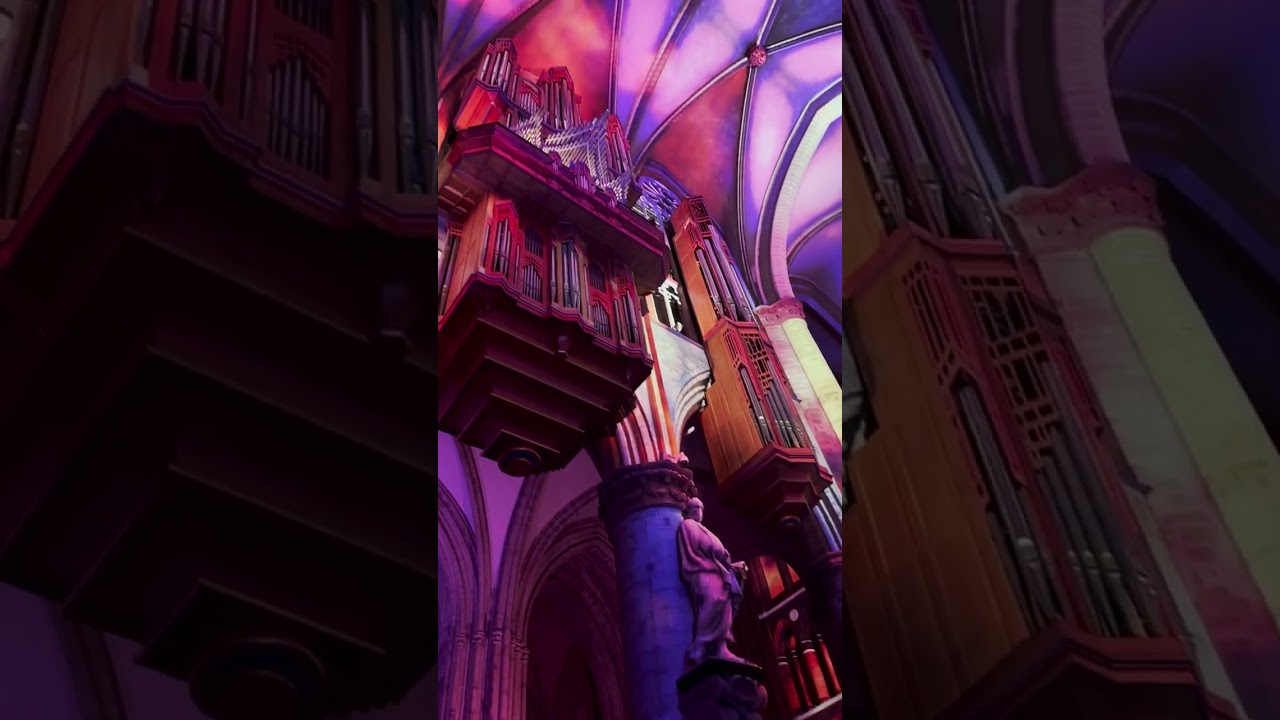 Luminiscence Brussels Cathedral Saint Michael and Saint Gudula 2026