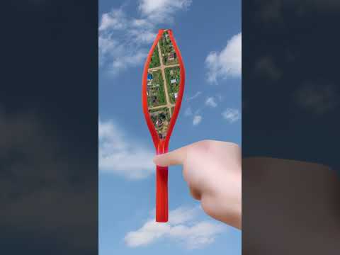 EO Funny Video Real Or Fake Funny Viral Skydiving Meme Shorts