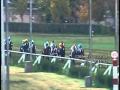 RESUMEN VIERNES 09/10/2020 CLUB HIPICO DE SANTIAGO - YouTube