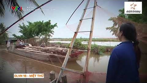 MIỆT VƯỜN - MIỆT ĐỒNG - MIỆT THỨ || DLVN 16 | DLAT