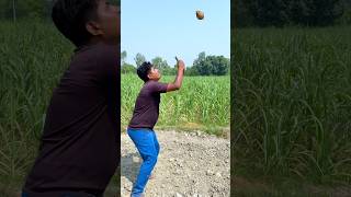 Creative farming coconut amazing, magical videography #creative #funny #amazing #farming # shorts
