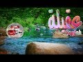 معنى اسم عقيلة وصفات حاملة هذا الاسم Aqylah 