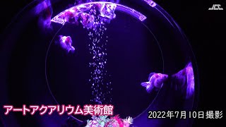 4k 幻想的な金魚 アートアクアリウム 銀座 22年7月10日 Youtube