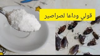 رشة واحدة و قولي وداعا للصراصير و القرلو و الحشرات خلطة منزلية مجربة فعالة و مضمونة %100