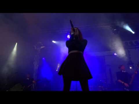 Dandelion Revenge -
