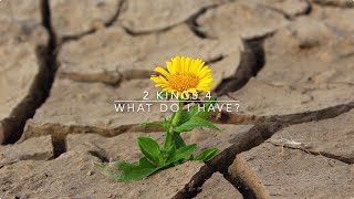 2 Kings 4: What do I have