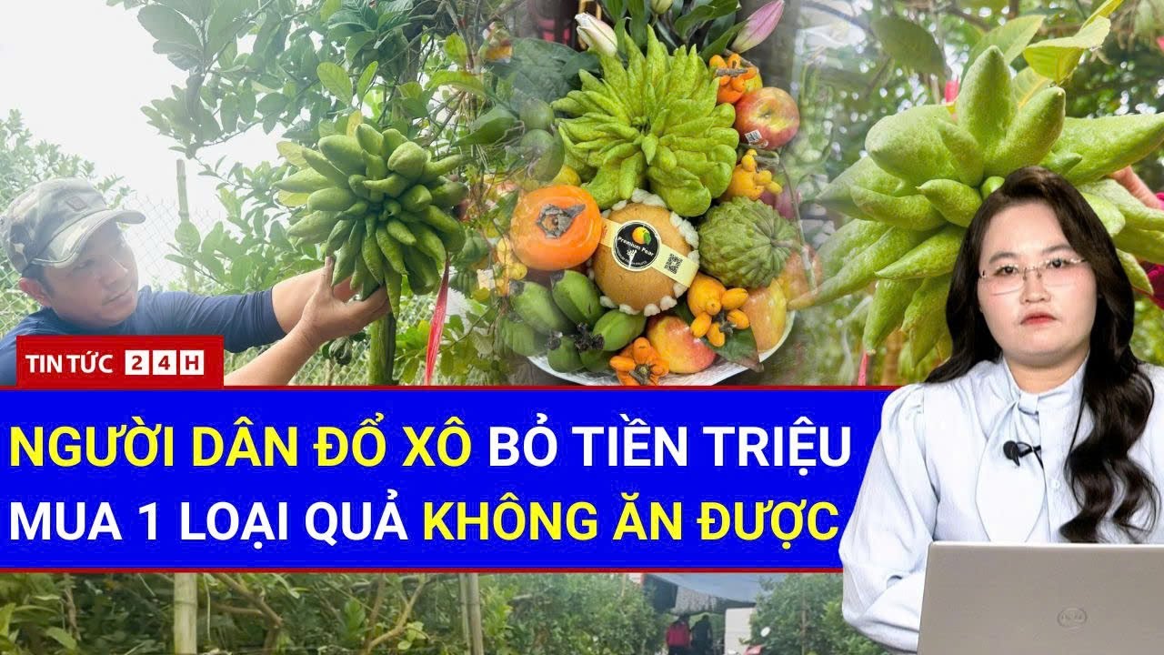 Toàn Cảnh Quả Tiền Triệu “Cháy Hàng” Trước Tết: Vì Sao Không Ăn Được Vẫn Săn Lùng?| Tin Tức Việt Nam