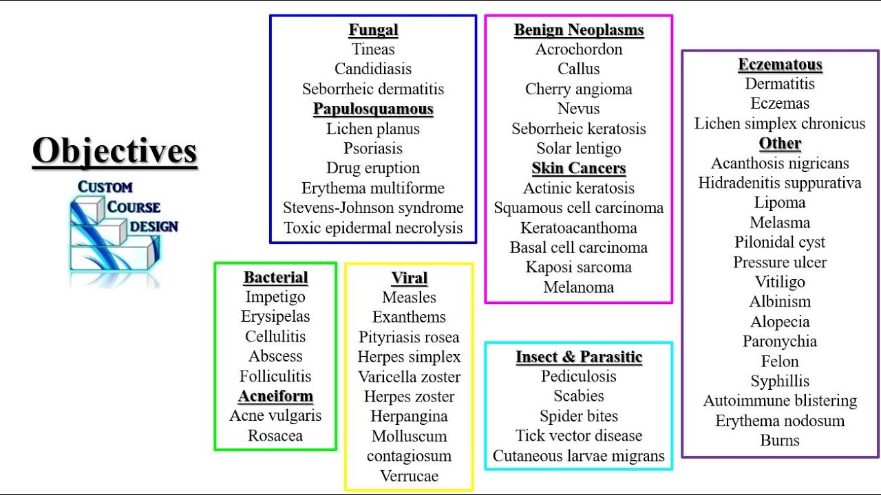 Dermatology Review PODs Part 1 PA NP Didactic PANCE PANRE