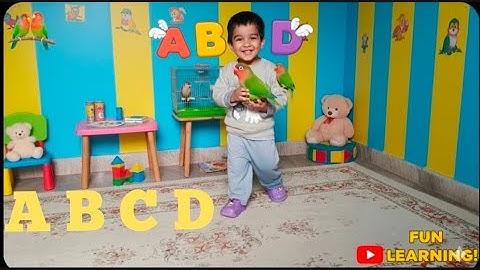 Aarav Playing with Love Bird and Java Finch_ aarav learning ABCD_Aarav Kalshan 