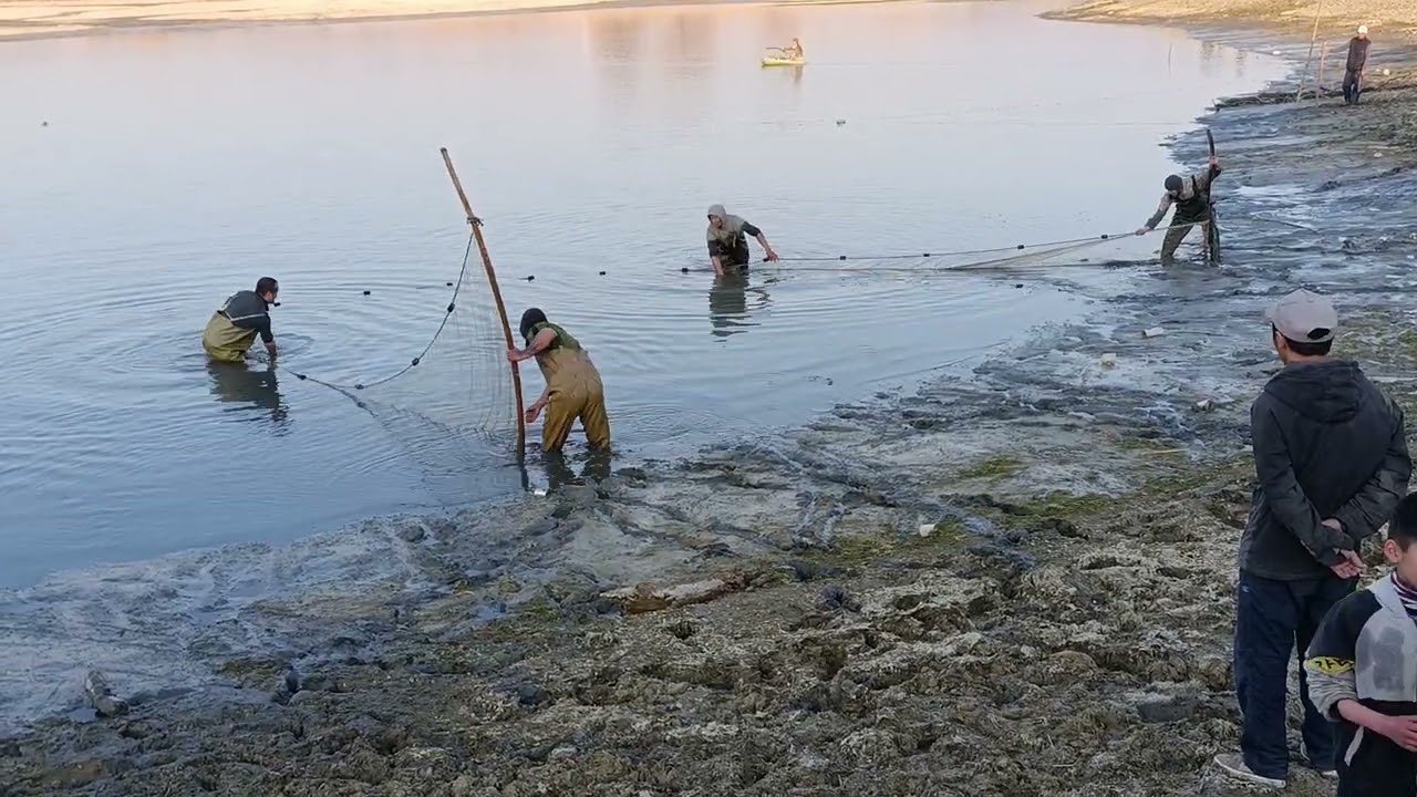 Охота #рыбалка #караван #кол 