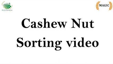 MAGIC Brand Cashew Kernel Sorting Machine