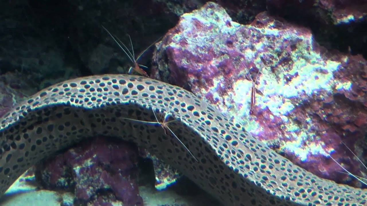 20140710 沖繩之旅 DAY 2