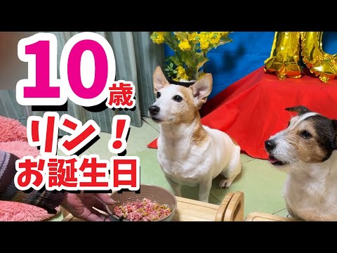 リン10歳バースデー！馬刺しのご飯を食べてお祝いしました