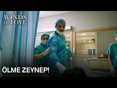 Zeynep'in kalbi durdu | Rüzgarlı Tepe 20. Bölüm