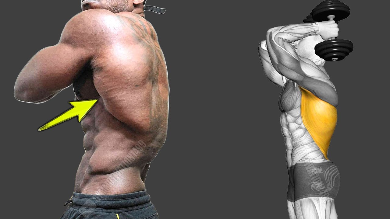 Широкие широчайшие: 11 самых быстрых упражнений для огромной спины