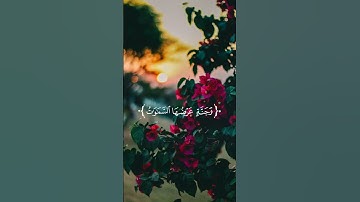 قرآن كريم | وسارعوا إلى مغفرة من ربكم و جنة | القارئ ماهر المعيقلي | أرح قلبك ♡