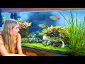 Planted tanks and incredible aquascapes  arcy aquariums with adriansfishroom