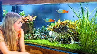 Planted Tanks and INCREDIBLE Aquascapes  Arcy Aquariums with @AdriansFishroom