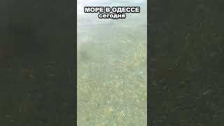 Море В Одессе 20.10.2025 – Тёплая Вода, Яркое Солнце, Пляж, Погода, Отдых И Спокойствие 🌊☀️3