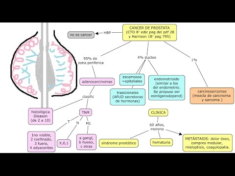 mapa conceptual de prostatitis