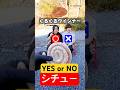 YES??NO??親友と選んだ食材でシチュー作ったら群馬のアレが入ってなんか強そうなの完成した…💪@TomiVideo @turime @MAINPHASE @ibukitoyohe