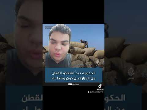وزارة قطاع الأعمال تقول إنها اشترت نحو 136 ألف قنطار قطن التداول الجديدة على استلام الأقطان وسطاء