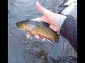 FLY FISHING for TROUT in Western NORTH CAROLINA on the NANTAHALA RIVER