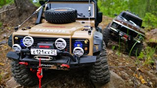 Traxxas trx4 Defender & Ford F150. Stone in forest