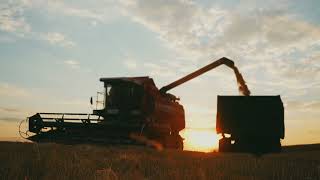 loading grain from grain harvester combine to truc 2023 08 02 04 17 25 utc