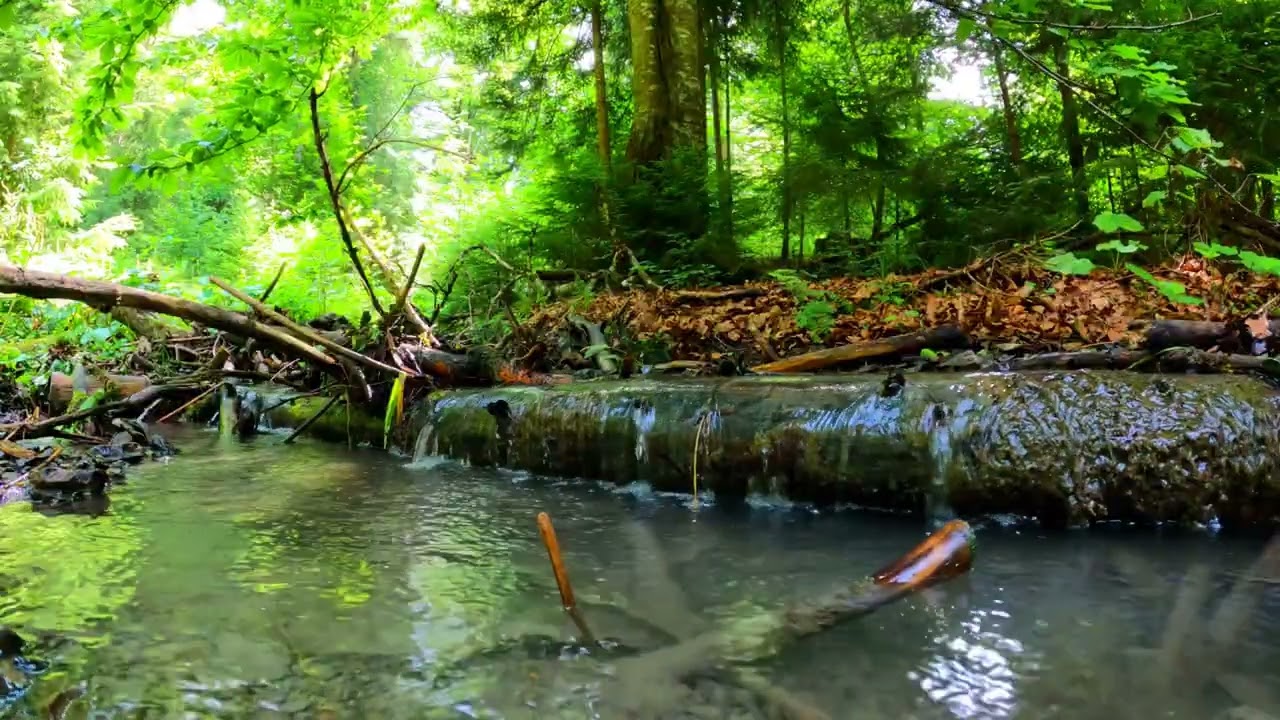 Self-Empathy Guided Practice – Level 1 | Cultivate Self-Compassion, Inner Peace & Mindfulness