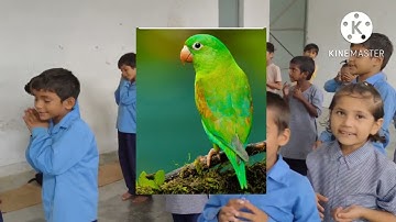 Birds name with code mixing poem**(मैं तो सो रही थी)