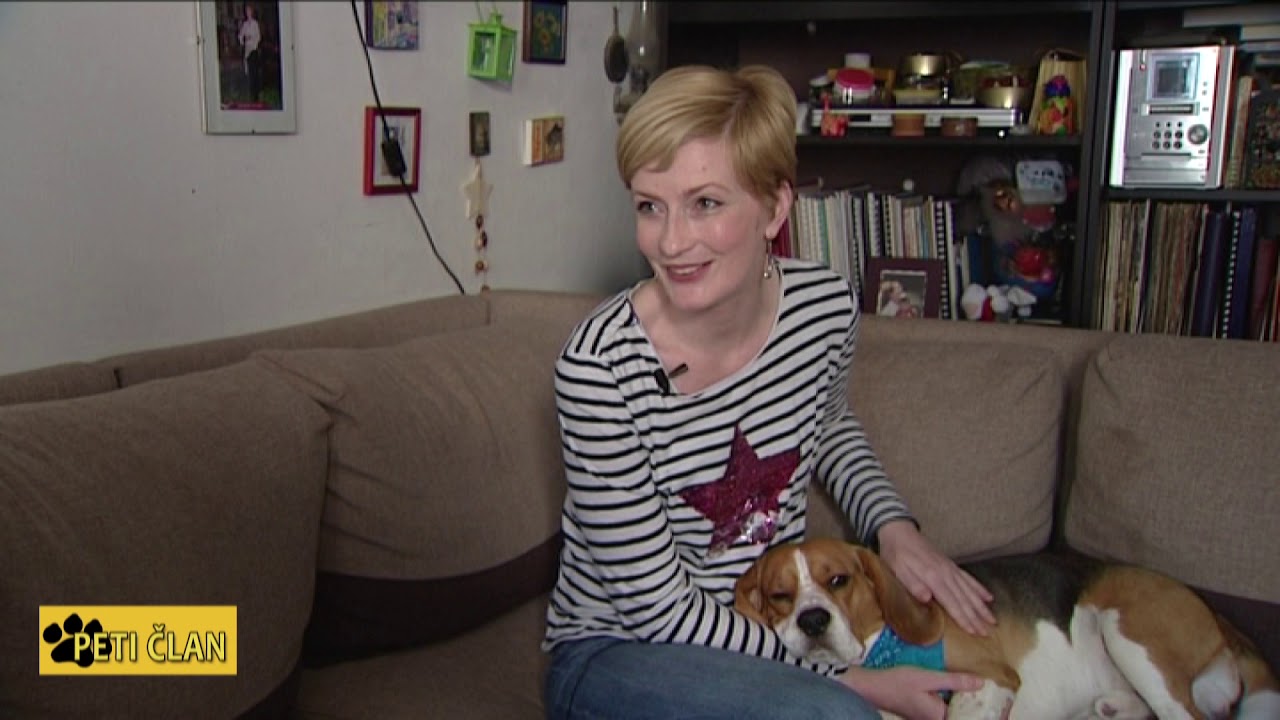 Peti Član -  Bigl (emisija o ljubimcima)