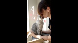 What Happens When You Kiss a Cat 100 Times?