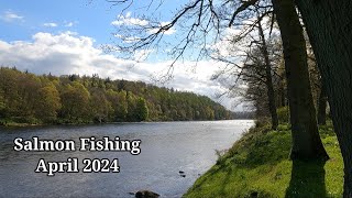 A couple of hours at the river, Salmon fishing River Tay