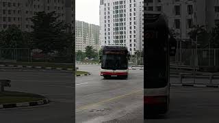 Tower Transit MAN NL323F A22 Euro 5 Batch 1 - SMB312K 871