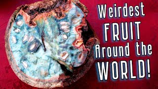 10 of The WEIRDEST Fruit From Around The World (I actually tried them), The Revenge