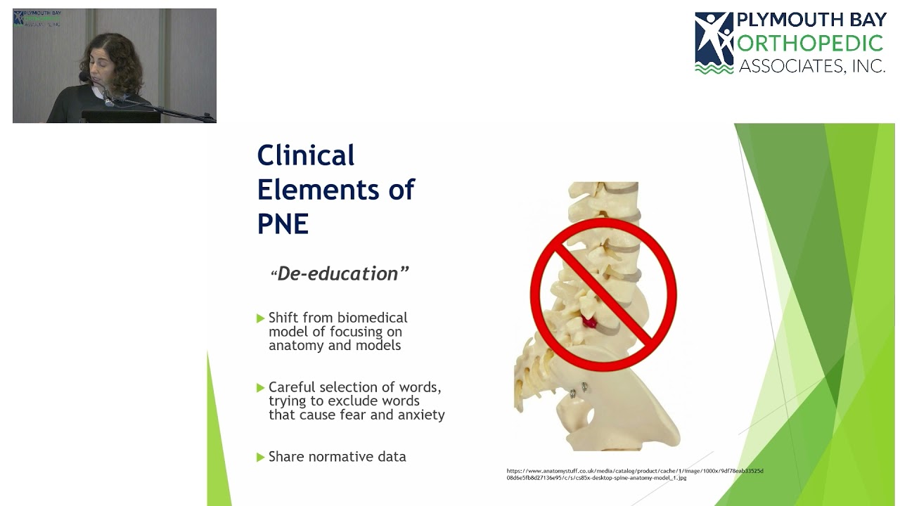 Clinical Application of Pain Neuroscience Education in Physical Therapy Practice - SMOS 2021