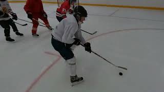 Pensionerade Ishockeyspelare I Aktiva På Plan