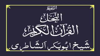 016 | Al Nahl - Abu Bakr Al Shatri