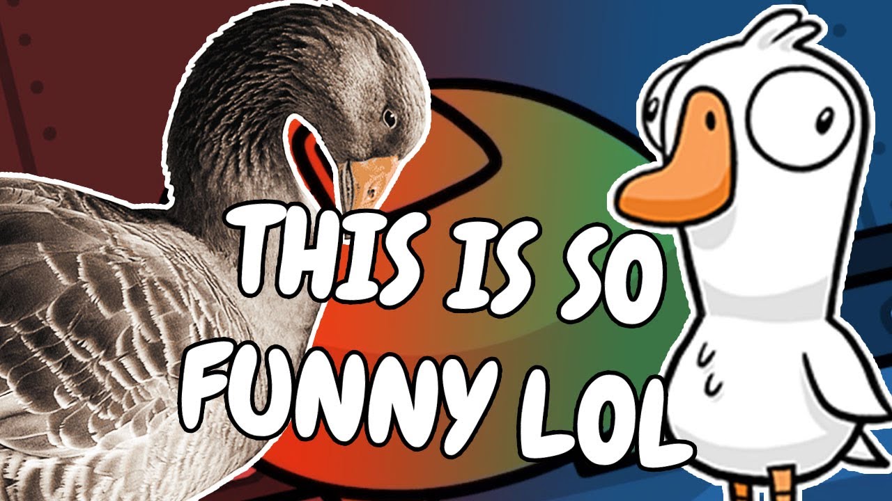 How do you tell apart a goose from a duck?