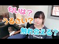 【ザッとお話】フクロウについて！