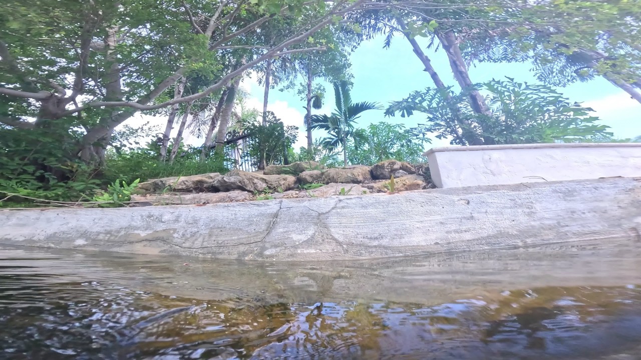 Seawall Inspection — Lighthouse Point, FL | Souffront Contractors — Souffront field video