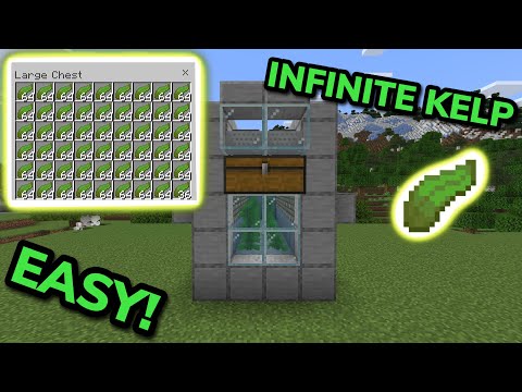 SIMPLE 1.21 AUTOMATIC