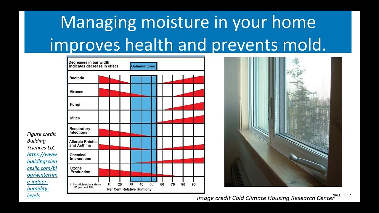 Что такое здоровый дом? Улучшите здоровье своего дома и себя. Осень 2025